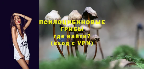 гашиш Нея