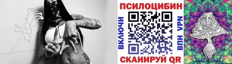 Псилоцибиновые грибы Psilocybe  Подольск 